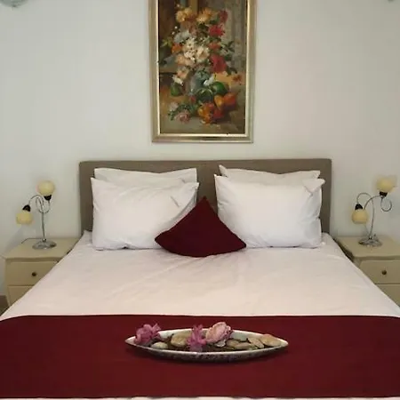 Hotel Academy Venus