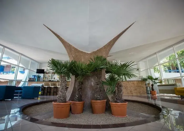 Academy מלון ונוס